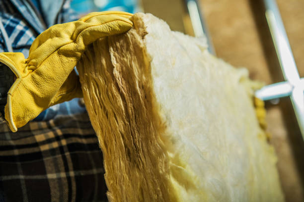 Best Insulation Maintenance and Repair in Indian Hills, NM