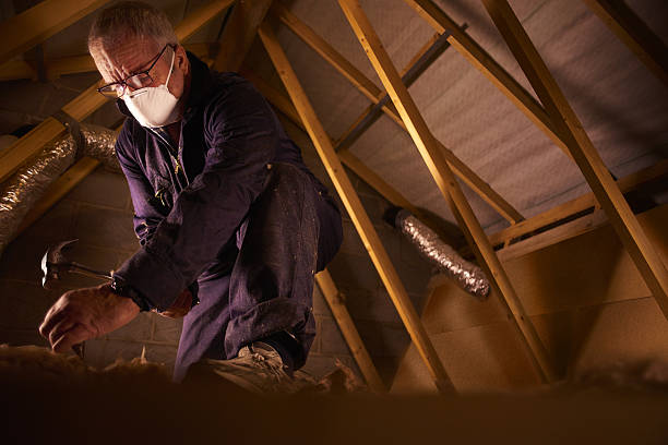 Best Insulation Maintenance and Repair in Indian Hills, NM